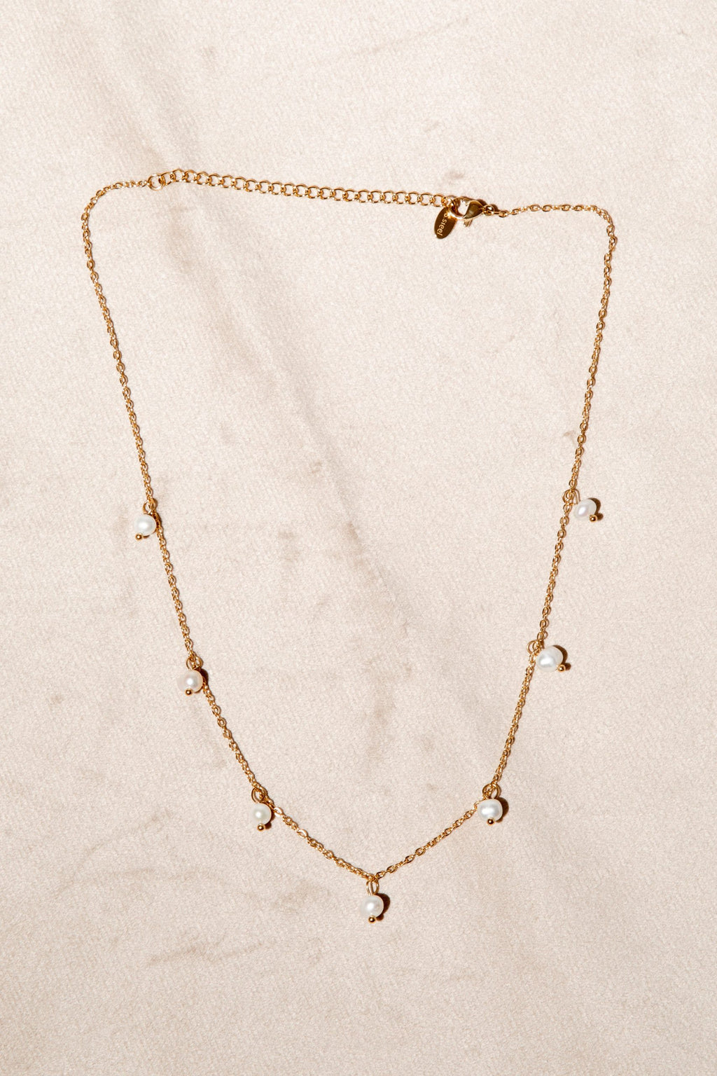 Pearly Detail Chain Gull