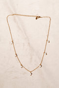 Pearly Detail Chain Gull