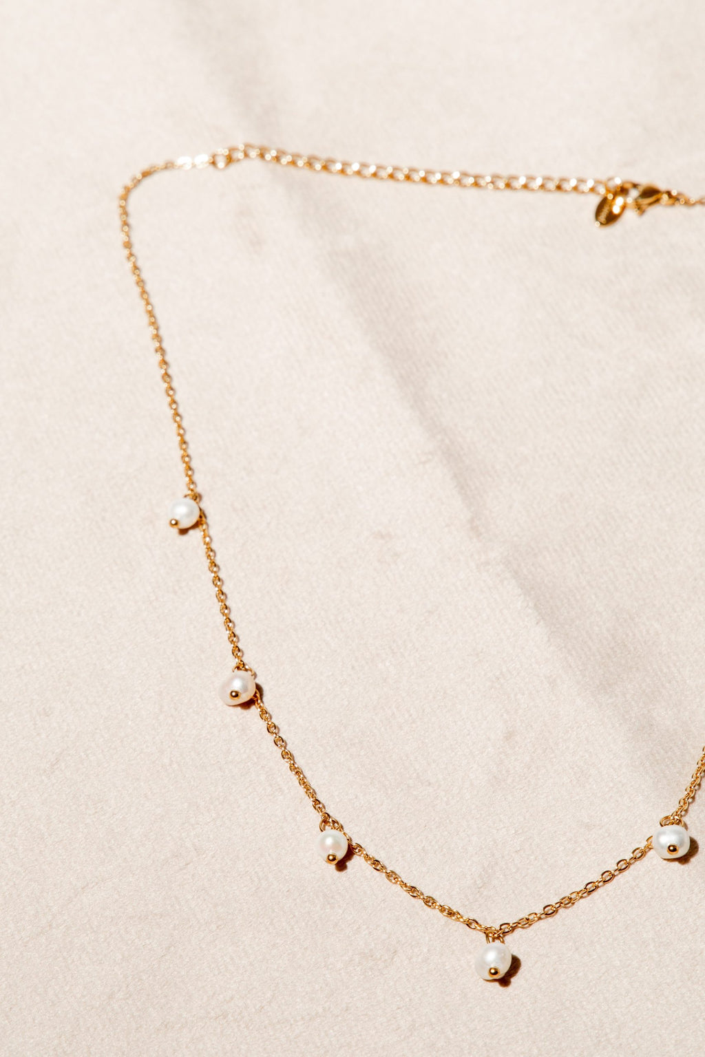 Pearly Detail Chain Gull